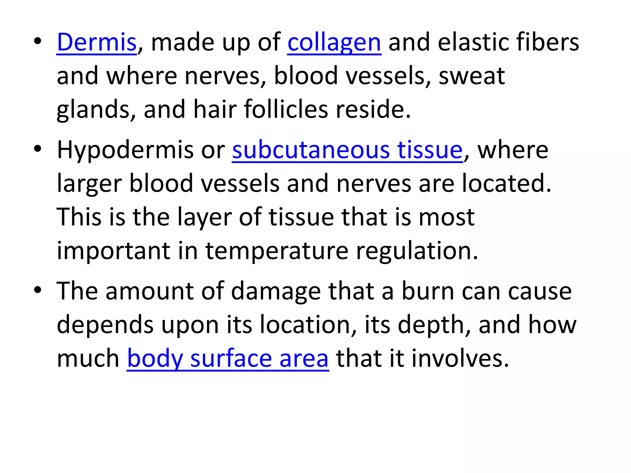 • Dermis, made up of collagen and elastic fibers 
and where nerves, blood vessels, sweat 
glands, and hair follicles reside. 
• Hypodermis or subcutaneous tissue, where 
larger blood vessels and nerves are located. 
This is the layer of tissue that is most 
important in temperature regulation. 
• The amount of damage that a burn can cause 
depends upon its location, its depth, and how 
much body surface area that it involves. 
 