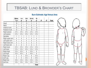 Tbsa Graph Burn Injury Typess Classification Causes Assesment and Managment | PPTX