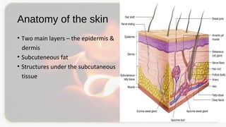 Anatomy of the skin
• Two main layers – the epidermis &
dermis
• Subcuteneous fat
• Structures under the subcutaneous
tissue
 