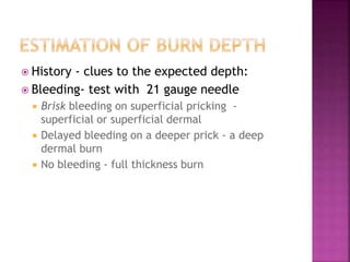 Burns | PPTX