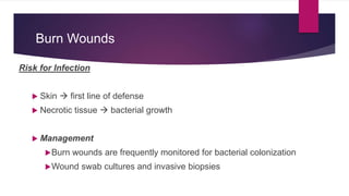 Burn Wounds
Risk for Infection
 Skin  first line of defense
 Necrotic tissue  bacterial growth
 Management
Burn wounds are frequently monitored for bacterial colonization
Wound swab cultures and invasive biopsies
 