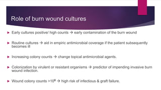 Role of burn wound cultures
 Early cultures positive/ high counts  early contamination of the burn wound
 Routine cultures  aid in empiric antimicrobial coverage if the patient subsequently
becomes ill
 Increasing colony counts  change topical antimicrobial agents.
 Colonization by virulent or resistant organisms  predictor of impending invasive burn
wound infection.
 Wound colony counts >106  high risk of infectious & graft failure.
 