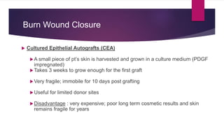 Burn Wound Closure
 Cultured Epithelial Autografts (CEA)
A small piece of pt’s skin is harvested and grown in a culture medium (PDGF
impregnated)
Takes 3 weeks to grow enough for the first graft
Very fragile; immobile for 10 days post grafting
Useful for limited donor sites
Disadvantage : very expensive; poor long term cosmetic results and skin
remains fragile for years
 