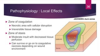 Pathophysiology : Local Effects
 Zone of coagulation
 Necrotic area with cellular disruption
 Irreversible tissue damage
 Zone of stasis
 Moderate insult with decreased tissue
perfusion
 Can survive or go on to coagulative
necrosis depending on wound
environment
36
JACKSON’s burn zones
 