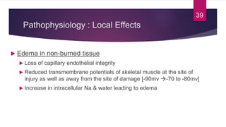 Pathophysiology : Local Effects
 Edema in non-burned tissue
 Loss of capillary endothelial integrity
 Reduced transmembrane potentials of skeletal muscle at the site of
injury as well as away from the site of damage [-90mv -70 to -80mv]
 Increase in intracellular Na & water leading to edema
39
 