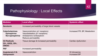 Pathophysiology : Local Effects
Mediator Local effect Systemic effect
Serotonin Increased permeability of large blood vessels
Catecholamines
Epinephrine
Nor-epinephrine
Vasoconstriction (a1 receptors)
Vasodialatation (b1 receptors)
Antiistaminic & Bradykinin
Reduce permeability
Increased PR, BP, Metabolism
O2 Radicals
O2-, H2O2, OH-,
ONOO-
Tissue damage & Increased permeability Cardiac dysfunction
PAF Increased permeability
Angiotensin II &
Vasopressin
Vasoconstriction GI Ishcaemia
Increased BP
42
 