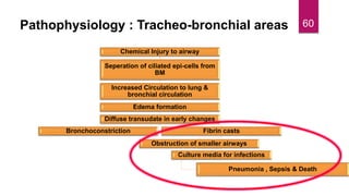 Pathophysiology : Tracheo-bronchial areas
Chemical Injury to airway
Seperation of ciliated epi-cells from
BM
Increased Circulation to lung &
bronchial circulation
Edema formation
Diffuse transudate in early changes
Bronchoconstriction Fibrin casts
Obstruction of smaller airways
Culture media for infections
Pneumonia , Sepsis & Death
60
 