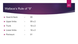 Wallace’s Rule of “9”
 Head & Neck - 09
 Upper limbs - 09 x 2
 Trunk - 18 x 2
 Lower limbs - 18 x 2
 Perineum - 01
63
 