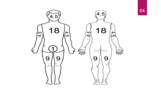 18
4.5
9
1
9
4.5
18
4.5
4.5
9 9
4.5
9
4.
7
4.5
7
18
1
64
 