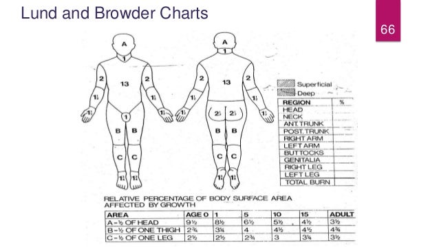 Burns - Pathophysiology, Evaluation and Management