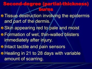 Second-degree (partial-thickness)
burns
Tissue destruction involving the epidermis
and part of the dermis.
Skin appearing red to pale and moist
Formation of wet, thin-walled blisters
immediately after injury.
Intact tactile and pain sensors
Healing in 21 to 28 days with variable
amount of scarring.
 