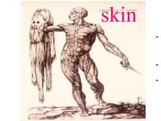 skin
 