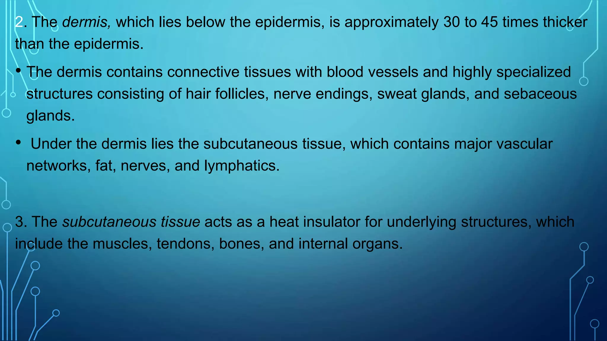 2. The dermis, which lies below the epidermis, is approximately 30 to 45 times thicker
than the epidermis.
• The dermis contains connective tissues with blood vessels and highly specialized
structures consisting of hair follicles, nerve endings, sweat glands, and sebaceous
glands.
• Under the dermis lies the subcutaneous tissue, which contains major vascular
networks, fat, nerves, and lymphatics.
3. The subcutaneous tissue acts as a heat insulator for underlying structures, which
include the muscles, tendons, bones, and internal organs.
 