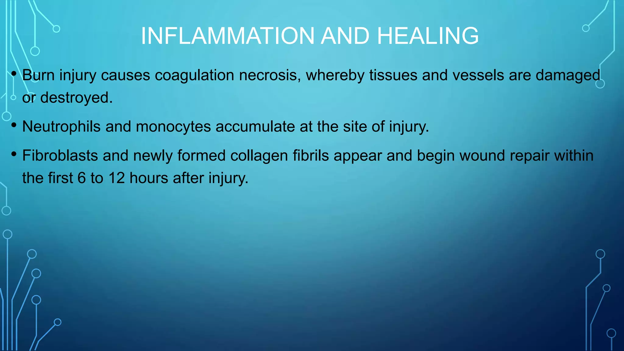 INFLAMMATION AND HEALING
• Burn injury causes coagulation necrosis, whereby tissues and vessels are damaged
or destroyed.
• Neutrophils and monocytes accumulate at the site of injury.
• Fibroblasts and newly formed collagen fibrils appear and begin wound repair within
the first 6 to 12 hours after injury.
 