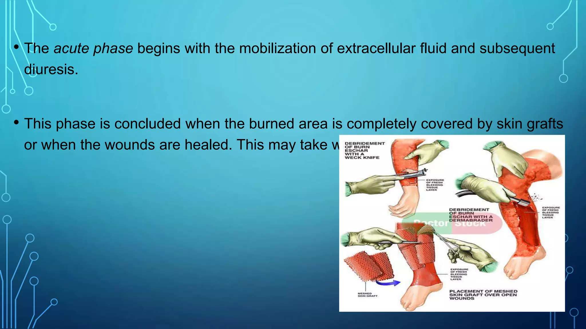 • The acute phase begins with the mobilization of extracellular fluid and subsequent
diuresis.
• This phase is concluded when the burned area is completely covered by skin grafts
or when the wounds are healed. This may take weeks or many months.
 