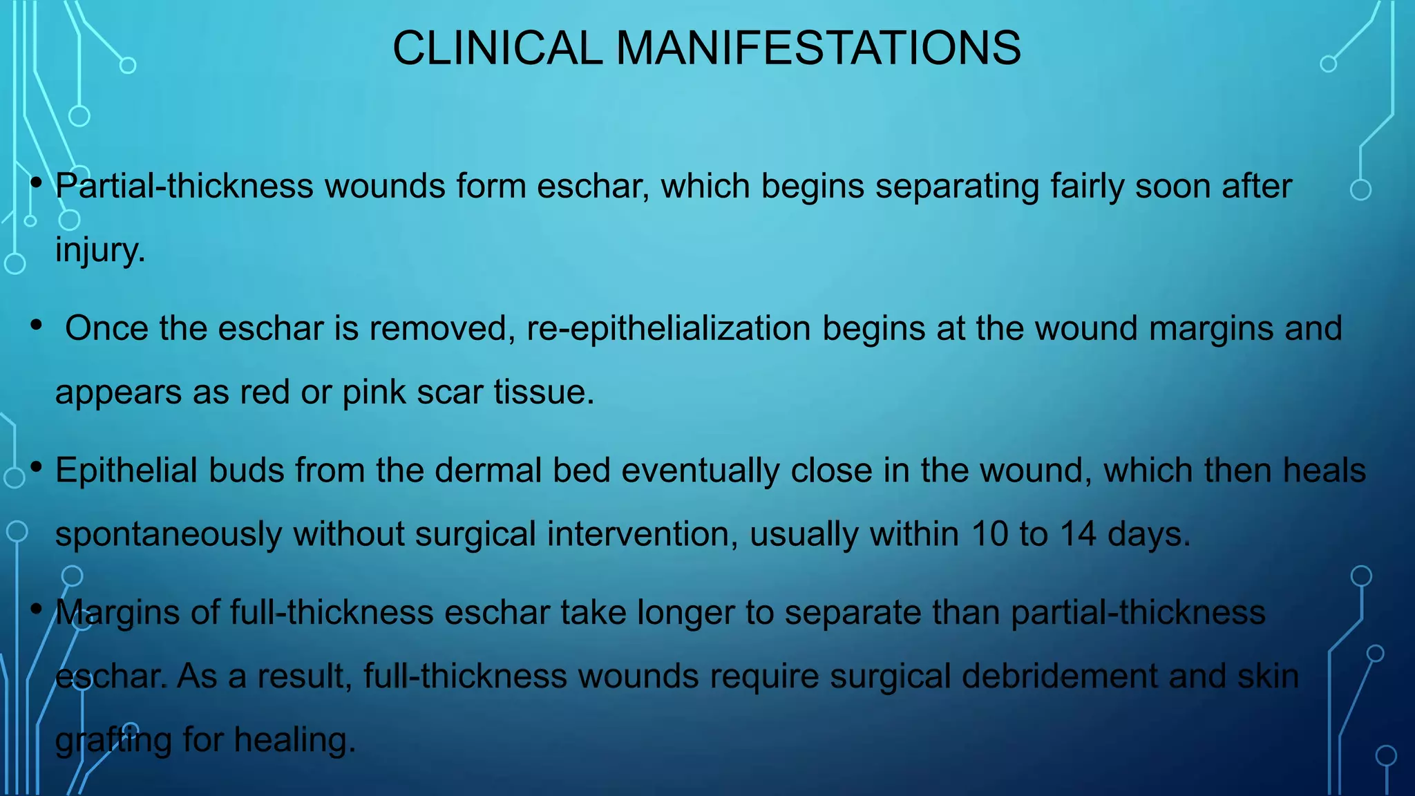 CLINICAL MANIFESTATIONS
• Partial-thickness wounds form eschar, which begins separating fairly soon after
injury.
• Once the eschar is removed, re-epithelialization begins at the wound margins and
appears as red or pink scar tissue.
• Epithelial buds from the dermal bed eventually close in the wound, which then heals
spontaneously without surgical intervention, usually within 10 to 14 days.
• Margins of full-thickness eschar take longer to separate than partial-thickness
eschar. As a result, full-thickness wounds require surgical debridement and skin
grafting for healing.
 
