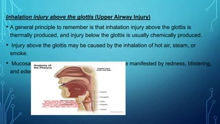 Inhalation injury above the glottis (Upper Airway Injury)
• A general principle to remember is that inhalation injury above the glottis is
thermally produced, and injury below the glottis is usually chemically produced.
• Injury above the glottis may be caused by the inhalation of hot air, steam, or
smoke.
• Mucosal burns of the oropharynx and larynx are manifested by redness, blistering,
and edema.
 