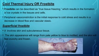 Cold Thermal Injury OR Frostbite
• Frostbite can be described as “true tissue freezing,” which results in the formation
of ice crystals in the tissues and cells.
• Peripheral vasoconstriction is the initial response to cold stress and results in a
decrease in blood flow and vascular stasis.
Superficial frostbite
• It involves skin and subcutaneous tissue.
• The skin appearance will range from pale yellow to blue to mottled, and the skin will
feel crunchy and frozen.
 