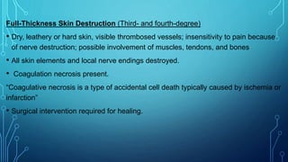 Full-Thickness Skin Destruction (Third- and fourth-degree)
• Dry, leathery or hard skin, visible thrombosed vessels; insensitivity to pain because
of nerve destruction; possible involvement of muscles, tendons, and bones
• All skin elements and local nerve endings destroyed.
• Coagulation necrosis present.
“Coagulative necrosis is a type of accidental cell death typically caused by ischemia or
infarction”
• Surgical intervention required for healing.
 