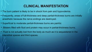 CLINICAL MANIFESTATION
• The burn patient is likely to be in shock from pain and hypovolemia.
• Frequently, areas of full-thickness and deep partial-thickness burns are initially
anesthetic because the nerve endings are destroyed.
• Superficial to moderate partial-thickness burns are painful.
• Blisters filled with fluid and protein may occur in partial-thickness burns.
• Fluid is not actually lost from the body as much as it is sequestered in the
interstitial spaces and third spaces.
 