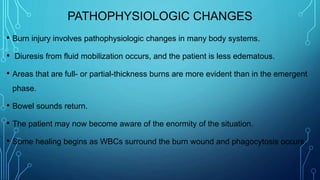 PATHOPHYSIOLOGIC CHANGES
• Burn injury involves pathophysiologic changes in many body systems.
• Diuresis from fluid mobilization occurs, and the patient is less edematous.
• Areas that are full- or partial-thickness burns are more evident than in the emergent
phase.
• Bowel sounds return.
• The patient may now become aware of the enormity of the situation.
• Some healing begins as WBCs surround the burn wound and phagocytosis occurs.
 
