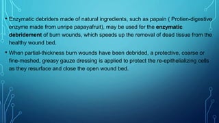 • Enzymatic debriders made of natural ingredients, such as papain ( Protien-digestive
enzyme made from unripe papayafruit), may be used for the enzymatic
debridement of burn wounds, which speeds up the removal of dead tissue from the
healthy wound bed.
• When partial-thickness burn wounds have been debrided, a protective, coarse or
fine-meshed, greasy gauze dressing is applied to protect the re-epithelializing cells
as they resurface and close the open wound bed.
 