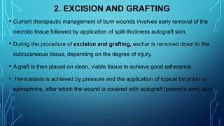 2. EXCISION AND GRAFTING
• Current therapeutic management of burn wounds involves early removal of the
necrotic tissue followed by application of split-thickness autograft skin.
• During the procedure of excision and grafting, eschar is removed down to the
subcutaneous tissue, depending on the degree of injury.
• A graft is then placed on clean, viable tissue to achieve good adherence.
• Hemostasis is achieved by pressure and the application of topical thrombin or
epinephrine, after which the wound is covered with autograft (person's own) skin.
 