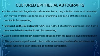 CULTURED EPITHELIAL AUTOGRAFTS
• In the patient with large body surface area burns, only a limited amount of unburned
skin may be available as donor sites for grafting, and some of that skin may be
unsuitable for harvesting.
• Cultured epithelial autograft (CEA) is a method of obtaining permanent skin from a
person with limited available skin for harvesting.
• CEA is grown from biopsy specimens obtained from the patient's own unburned skin.
• This procedure is performed in burn units as soon as possible after admission on
patients who have been identified as suitable candidates.
 