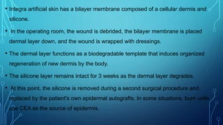 • Integra artificial skin has a bilayer membrane composed of a cellular dermis and
silicone.
• In the operating room, the wound is debrided, the bilayer membrane is placed
dermal layer down, and the wound is wrapped with dressings.
• The dermal layer functions as a biodegradable template that induces organized
regeneration of new dermis by the body.
• The silicone layer remains intact for 3 weeks as the dermal layer degrades.
• At this point, the silicone is removed during a second surgical procedure and
replaced by the patient's own epidermal autografts. In some situations, burn units
use CEA as the source of epidermis.
 