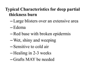 Typical Characteristics for deep partial
thickness burn
–Large blisters over an extensive area
–Edema
–Red base with broken epidermis
–Wet, shiny and weeping
–Sensitive to cold air
–Healing in 2-3 weeks
–Grafts MAY be needed
 