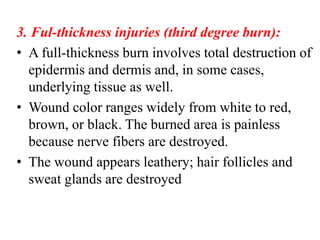 3. Ful-thickness injuries (third degree burn):
• A full-thickness burn involves total destruction of
epidermis and dermis and, in some cases,
underlying tissue as well.
• Wound color ranges widely from white to red,
brown, or black. The burned area is painless
because nerve fibers are destroyed.
• The wound appears leathery; hair follicles and
sweat glands are destroyed
 