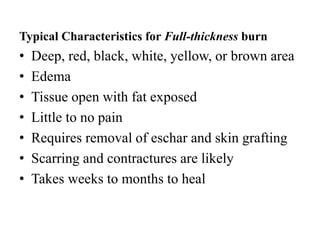 Typical Characteristics for Full-thickness burn
• Deep, red, black, white, yellow, or brown area
• Edema
• Tissue open with fat exposed
• Little to no pain
• Requires removal of eschar and skin grafting
• Scarring and contractures are likely
• Takes weeks to months to heal
 