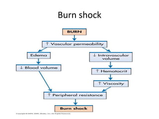Burn shock
 
