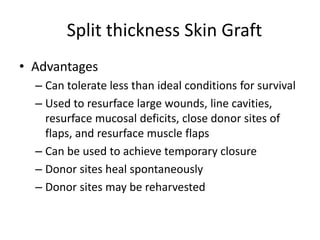 Split thickness Skin Graft
• Advantages
– Can tolerate less than ideal conditions for survival
– Used to resurface large wounds, line cavities,
resurface mucosal deficits, close donor sites of
flaps, and resurface muscle flaps
– Can be used to achieve temporary closure
– Donor sites heal spontaneously
– Donor sites may be reharvested
 