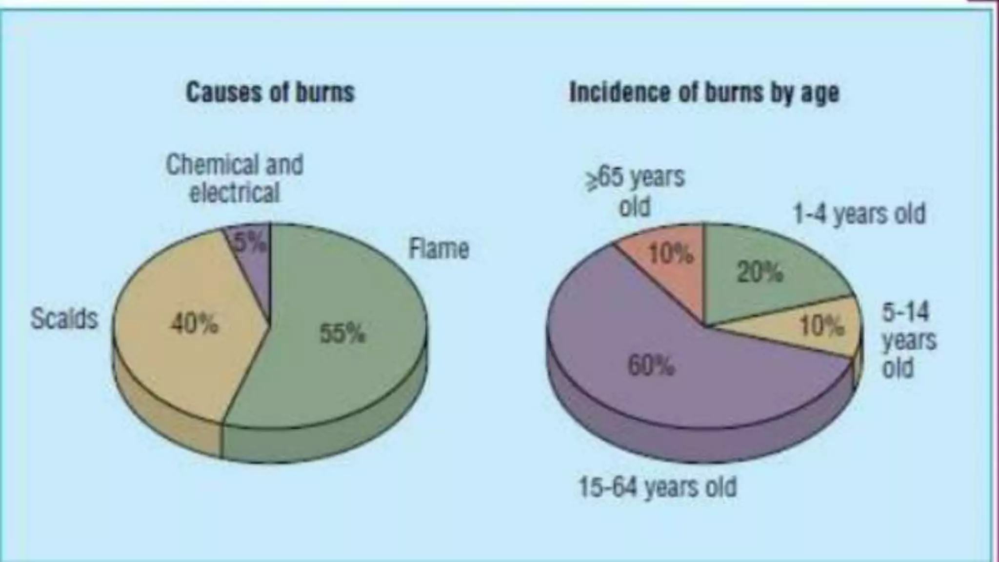 Burns | PPTX
