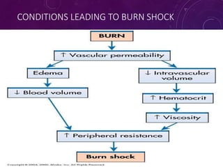 CONDITIONS LEADING TO BURN SHOCK
5
4
 
