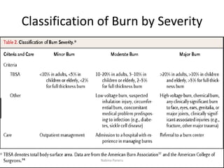 Burns | PDF