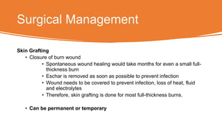 Surgical Management
Skin Grafting
• Closure of burn wound
• Spontaneous wound healing would take months for even a small full-
thickness burn
• Eschar is removed as soon as possible to prevent infection
• Wound needs to be covered to prevent infection, loss of heat, fluid
and electrolytes
• Therefore, skin grafting is done for most full-thickness burns.
• Can be permanent or temporary
 