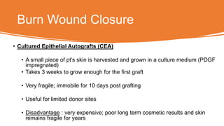 Burn Wound Closure
• Cultured Epithelial Autografts (CEA)
• A small piece of pt’s skin is harvested and grown in a culture medium (PDGF
impregnated)
• Takes 3 weeks to grow enough for the first graft
• Very fragile; immobile for 10 days post grafting
• Useful for limited donor sites
• Disadvantage : very expensive; poor long term cosmetic results and skin
remains fragile for years
 
