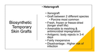 Biosynthetic
Temporary
Skin Grafts
• Heterograft
• Xenograft
• Graft between 2 different species
• Porcine most common
• Fresh, frozen or freeze-dried
(longer shelf life)
• Amenable to meshing &
antimicrobial impregnation
• Antigenic: body rejects in 3-4
days
• Fairly inexpensive
• Disadvantage : Higher risk of
infection
 