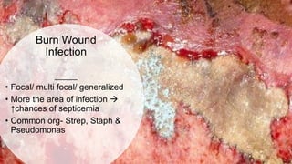 Burn Wound
Infection
• Focal/ multi focal/ generalized
• More the area of infection 
↑chances of septicemia
• Common org- Strep, Staph &
Pseudomonas
 