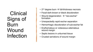 Clinical
Signs of
Burn
Wound
Infection
• 2nd degree burn  full-thickness necrosis
• Focal dark-brown or black discoloration
• Wound degeneration  “neo-eschar”
formation
• Unexpectedly rapid eschar separation
• Hemorrhagic discoloration of sub-eschar fat
• Erythematous or violaceous edematous
wound margin
• Septic lesions in unburned tissue
• Crusted serrations of wound margin
 