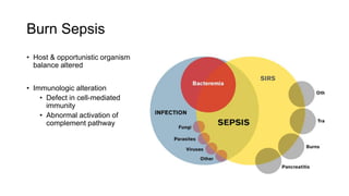 Burn Sepsis
• Host & opportunistic organism
balance altered
• Immunologic alteration
• Defect in cell-mediated
immunity
• Abnormal activation of
complement pathway
 