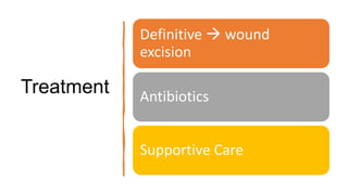 Treatment
Definitive  wound
excision
Antibiotics
Supportive Care
 
