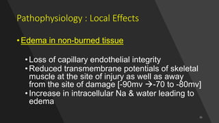 Pathophysiology : Local Effects
• Edema in non-burned tissue
•Loss of capillary endothelial integrity
•Reduced transmembrane potentials of skeletal
muscle at the site of injury as well as away
from the site of damage [-90mv -70 to -80mv]
•Increase in intracellular Na & water leading to
edema
 