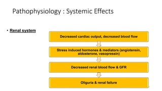 Pathophysiology : Systemic Effects
• Renal system
42
Decreased cardiac output, decreased blood flow
Stress induced hormones & mediators (angiotensin,
aldosterone, vasopressin)
Decreased renal blood flow & GFR
Oliguria & renal failure
 