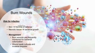 Burn Wounds
Risk for Infection
• Skin  first line of defense
• Necrotic tissue  bacterial growth
• Management
• Burn wounds are frequently
monitored for bacterial
colonization
• Wound swab cultures and
invasive biopsies
 