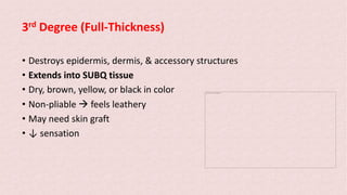 3rd Degree (Full-Thickness)
The picture can't be displayed.
• Destroys epidermis, dermis, & accessory structures
• Extends into SUBQ tissue
• Dry, brown, yellow, or black in color
• Non-pliable à feels leathery
• May need skin graft
• ↓ sensation
 