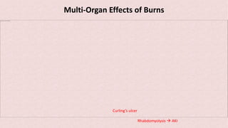 Multi-Organ Effects of Burns
The picture can't be displayed.
Curling’s ulcer
Rhabdomyolysis à AKI
 