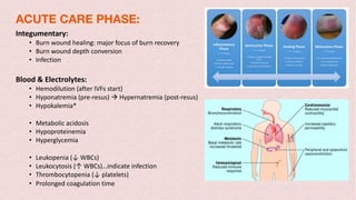 Integumentary:
• Burn wound healing: major focus of burn recovery
• Burn wound depth conversion
• Infection
Blood & Electrolytes:
• Hemodilution (after IVFs start)
• Hyponatremia (pre-resus) à Hypernatremia (post-resus)
• Hypokalemia*
• Metabolic acidosis
• Hypoproteinemia
• Hyperglycemia
• Leukopenia (↓ WBCs)
• Leukocytosis (↑ WBCs)…indicate infection
• Thrombocytopenia (↓ platelets)
• Prolonged coagulation time
ACUTE CARE PHASE:
 